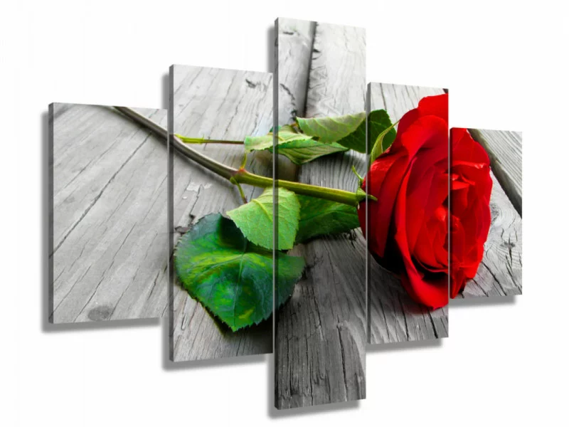 Obraz 5-częściowy - czerwona róża - obrazek 1