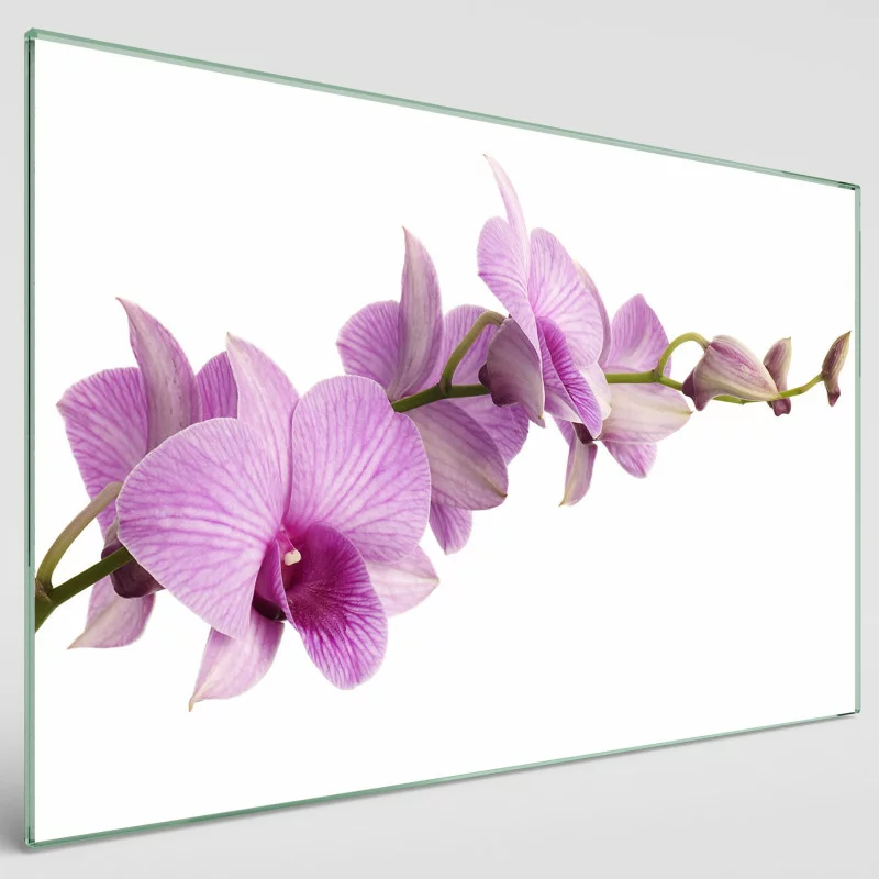 Obraz na szkle - różowe orchidee na białym tle - obrazek 1