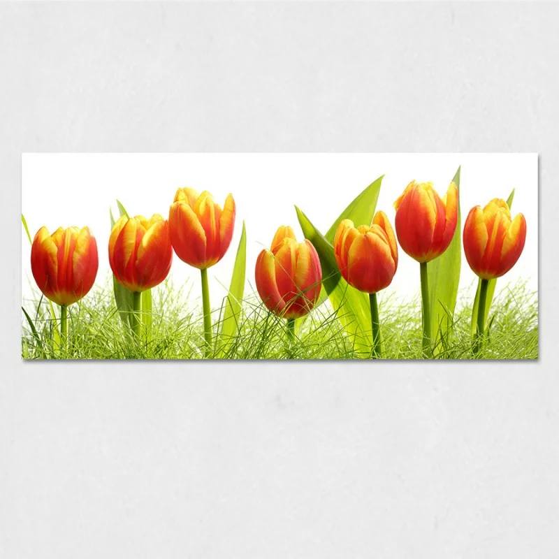 Obraz na szkle - tulipany - obrazek 1