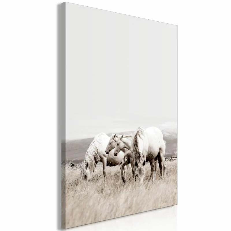 Obraz - Białe konie (1-częściowy) pionowy - obrazek 1