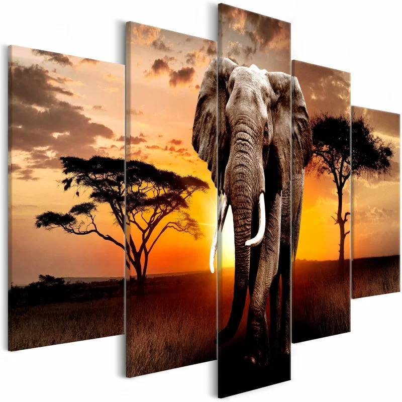 Obraz - Wędrówka słonia (5-częściowy) szeroki - obrazek 1