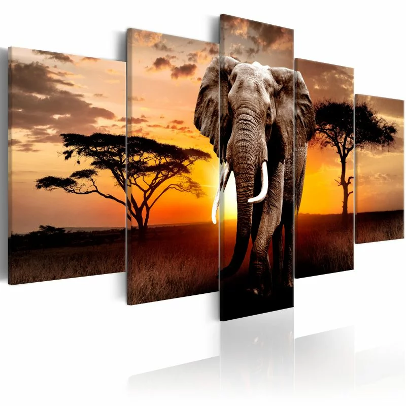 Obraz - Wędrówka słonia - obrazek 1