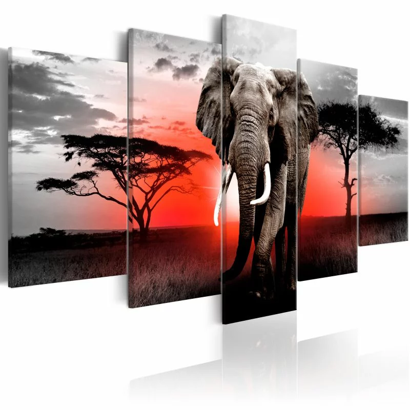 Obraz - Samotny słoń - obrazek 1