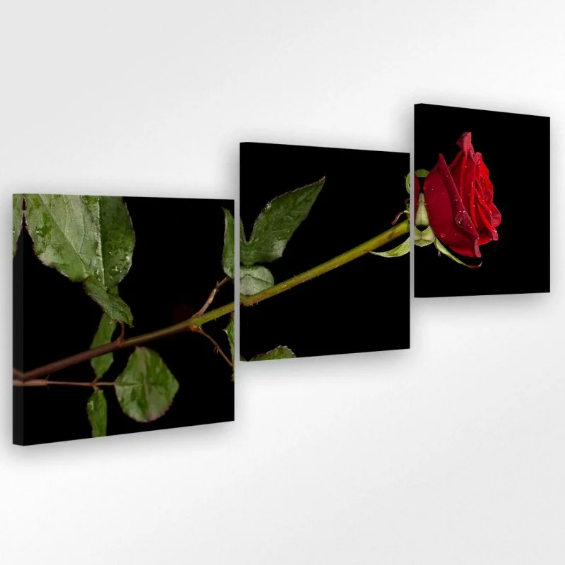 Obraz - czerwona róża dla ukochanej - obrazek 1
