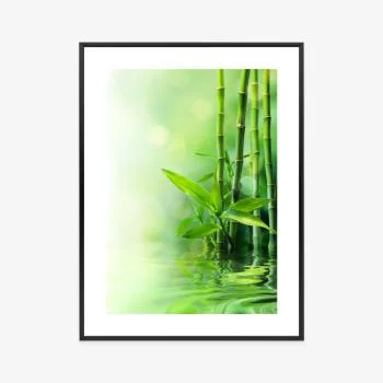 Plakat w ramie - zielony bambus w wodzie - obrazek 3