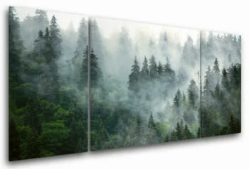 Duży obraz do sypialni - las we mgle - obrazek 2