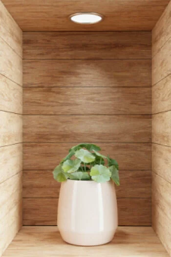 Naklejka na ścianę 3D do kuchni - kwiat w drewnianej wnęce XXX