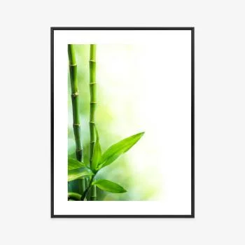 Plakat w ramie -wiele łodyg bambusa i wiązki światła - obrazek 3
