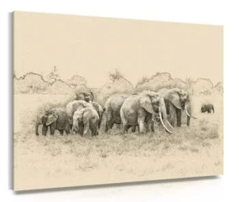 Obraz - stado słoni - obrazek 2