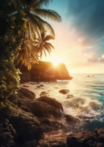 Plakat w ramie - zachód słońca z palmami i kamienistym brzegiem morza - obrazek 2