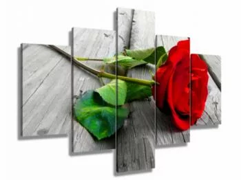 Obraz 5-częściowy - czerwona róża