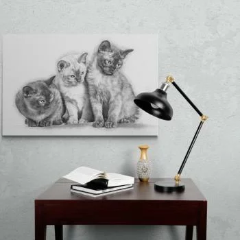 Obraz - trzy kotki