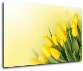 Obraz - Bukiet żółte tulipany 120x75 cm