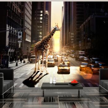 Fototapeta 3D - Żyrafa w wielkim mieście