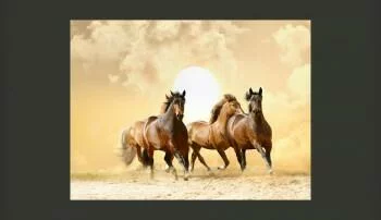 Fototapeta Konie na tle Zachodu Słońca