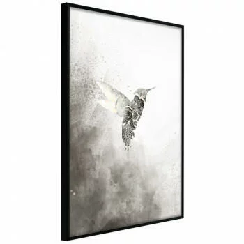 Plakat - Koliber w odcieniach szarości