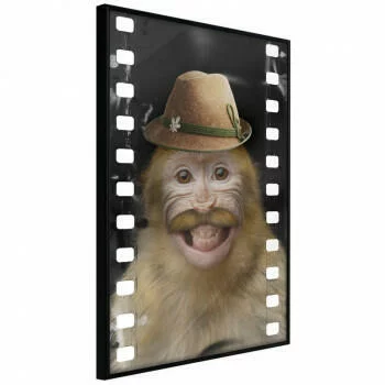 Plakat - Przebrana małpka