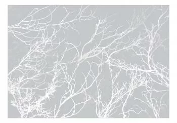 Fototapeta - Białe drzewa - obrazek 2