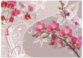 Fototapeta - Lot różowych orchidei - obrazek 2