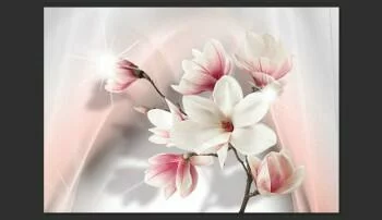 Fototapeta 3D - Białe magnolie - obrazek 2