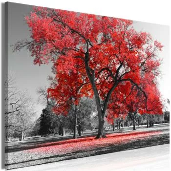 Obraz - Jesień w parku (1-częściowy) szeroki czerwony