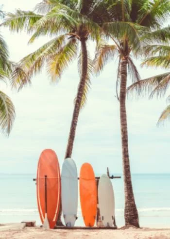 Plakat w ramie - surfing i drzewa palmowe - obrazek 2