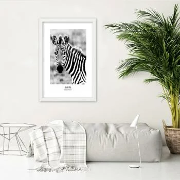 Obraz w ramie, Ciekawska zebra