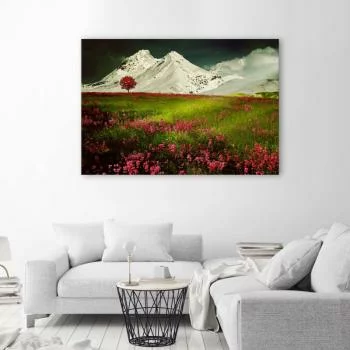 Obraz Deco Panel, Góry w śniegu i kolorowa łąka
