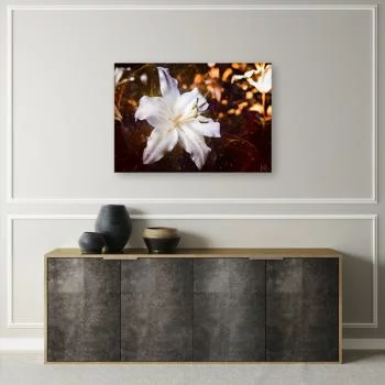 Obraz Deco Panel, Biała lilia na brązowym tle