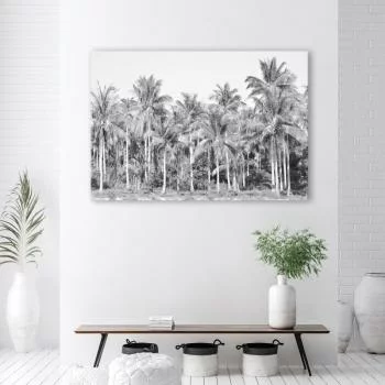 Obraz Deco Panel, Czarno białe palmy w dżungli