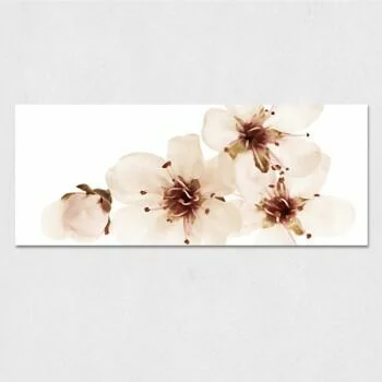 Obraz na szkle - białe kwiatki