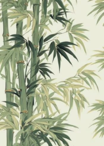 Plakat w ramie - bambus z jasnymi liśćmi - obrazek 2