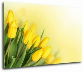 Obraz żółte tulipany 120x75 cm