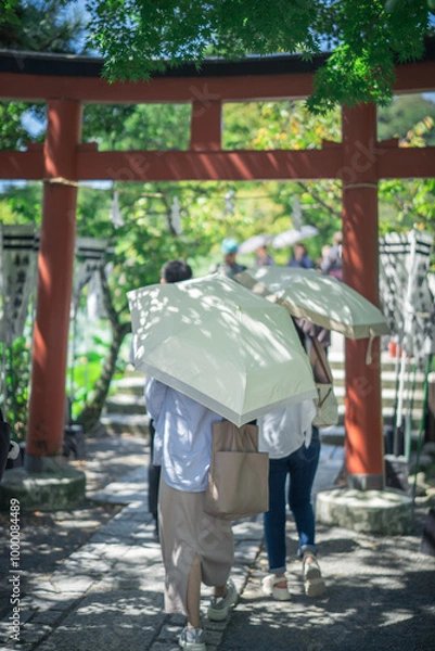 Fototapeta 神社と木漏れ日と日傘