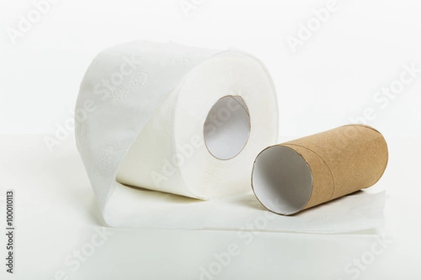 Obraz Toilet paper rolls