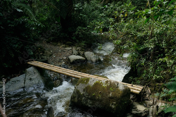 Obraz Bamboo bridge over river in Colombia