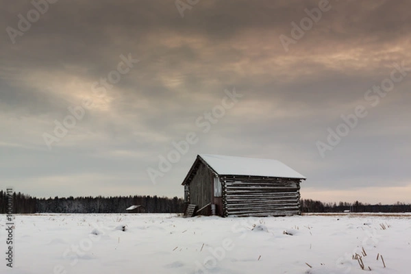Fototapeta Morning In The Fields