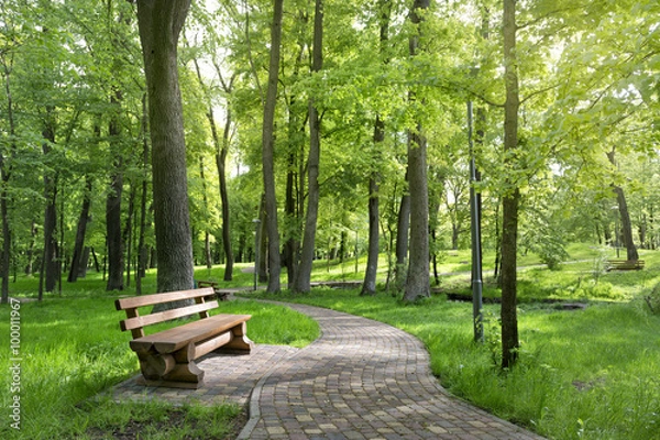 Obraz Bench in a beautiful summer park