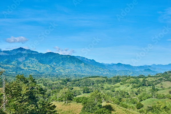 Fototapeta green mountain range with blue sky and clouds, hillocks with green trees