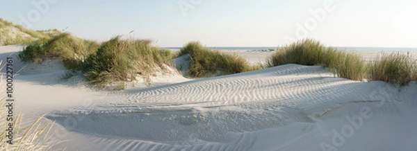 Obraz Dünenlandschaft an der Nordseeküste