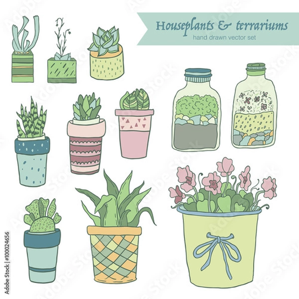 Obraz Cute hand drawn terrariums, houseplants and succulents in pots. Vector set