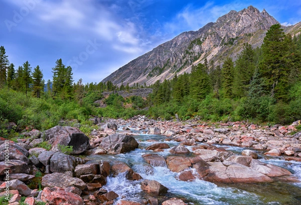 Obraz Small mountain river in Siberia
