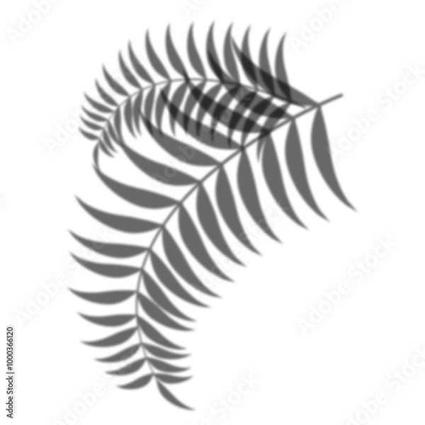 Fototapeta Leaf shadow