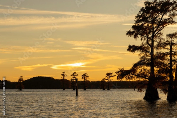 Obraz sunset with water ball cypress trees on Caddo Lake, Texas
