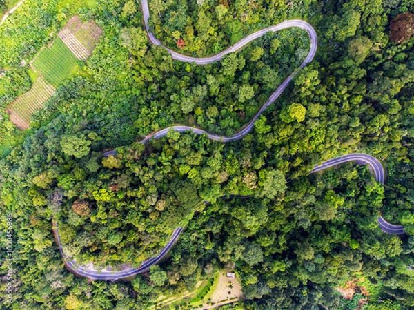 Obraz Aerial view of winding road