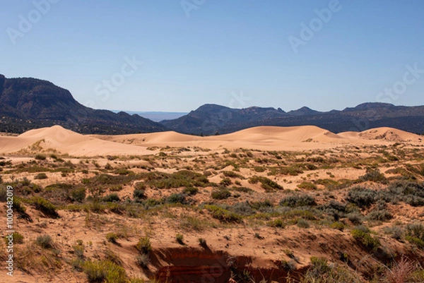 Obraz Coral Pink Sand Dunes State Park in Utah, USA