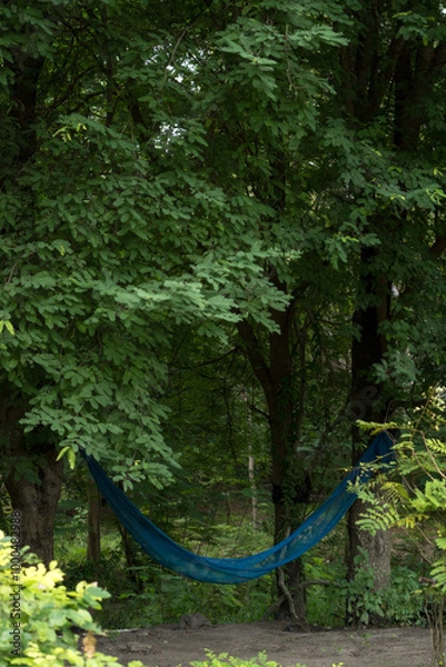 Obraz Blue cradle under tree with green branch and shade