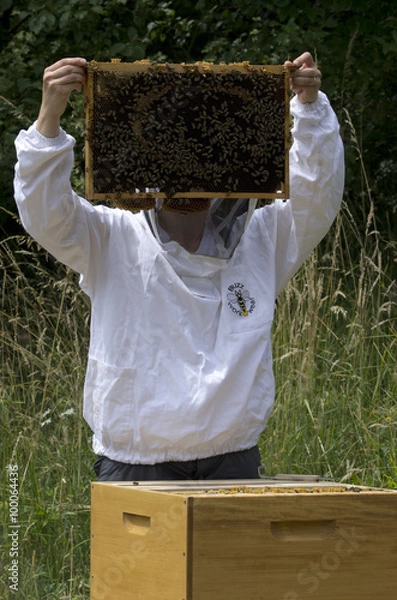 Obraz Imker bei der Arbeit