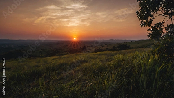 Fototapeta Closeup view of grassy field on hillside with stunning dawn sky scenery. Beautiful nature sunrise sky background for copy space.