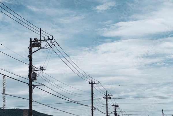 Fototapeta 並んだ電柱と空